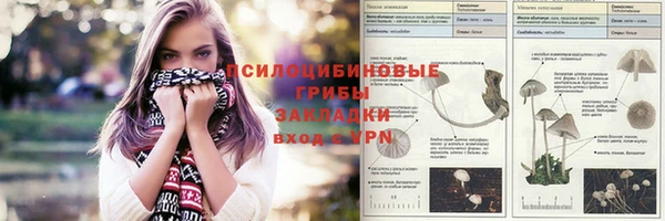 спиды Бронницы