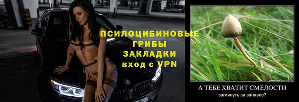 спиды Бронницы