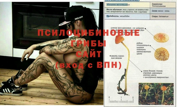 спиды Бронницы