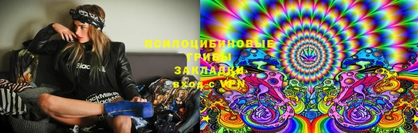 бошки Бородино