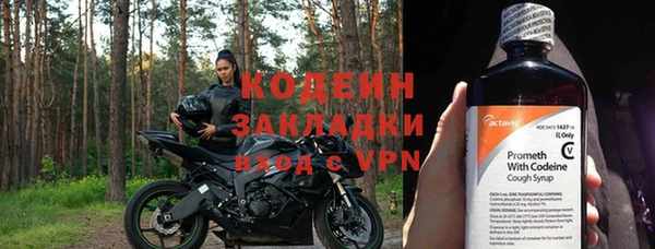 бошки Бородино