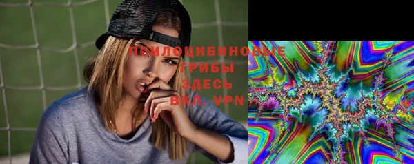 бошки Бородино