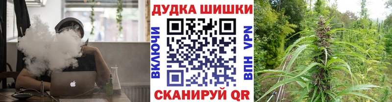 Бошки марихуана гибрид  Купить закладки  Болотное 